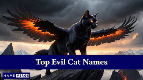 evil cat names male|More.